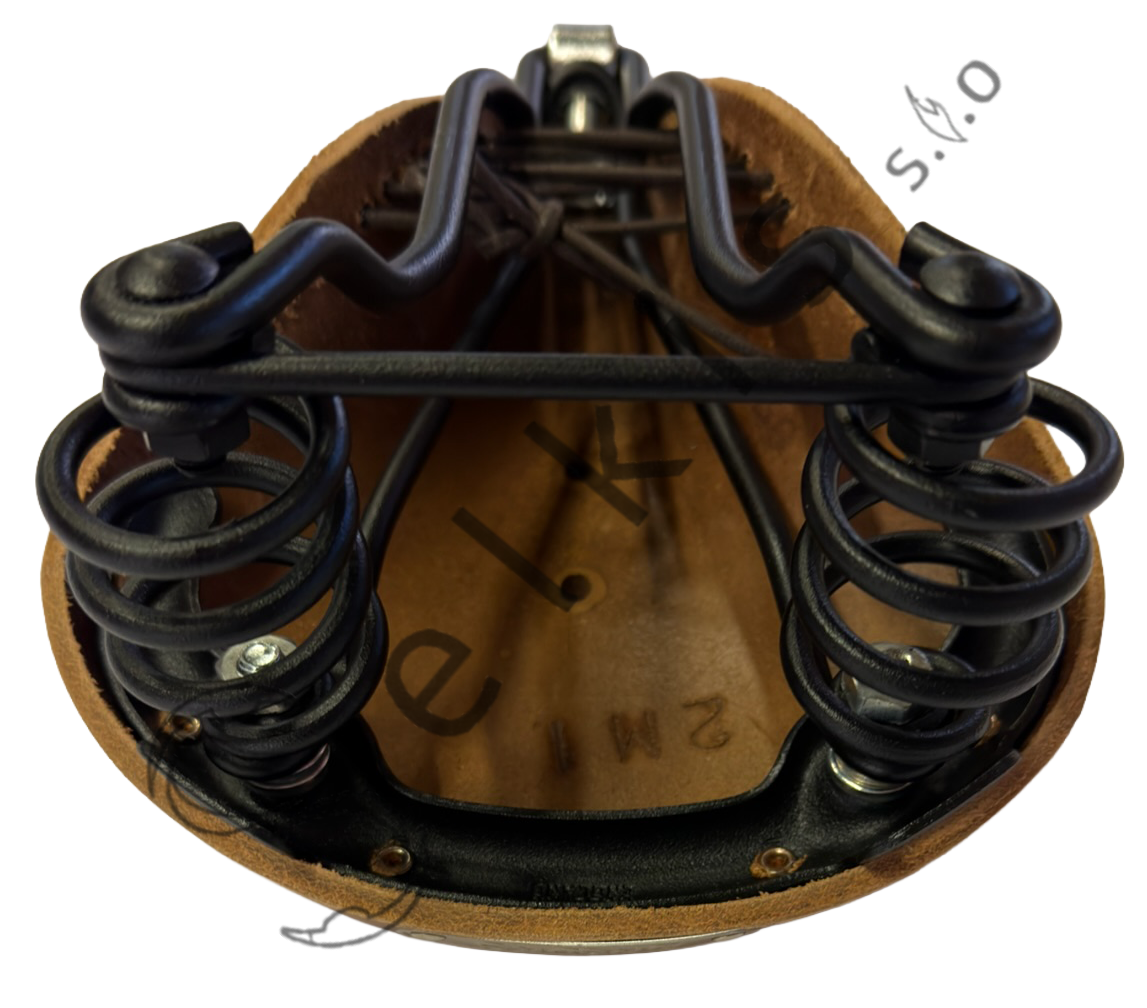 Men's saddle Brooks Flyer Aged