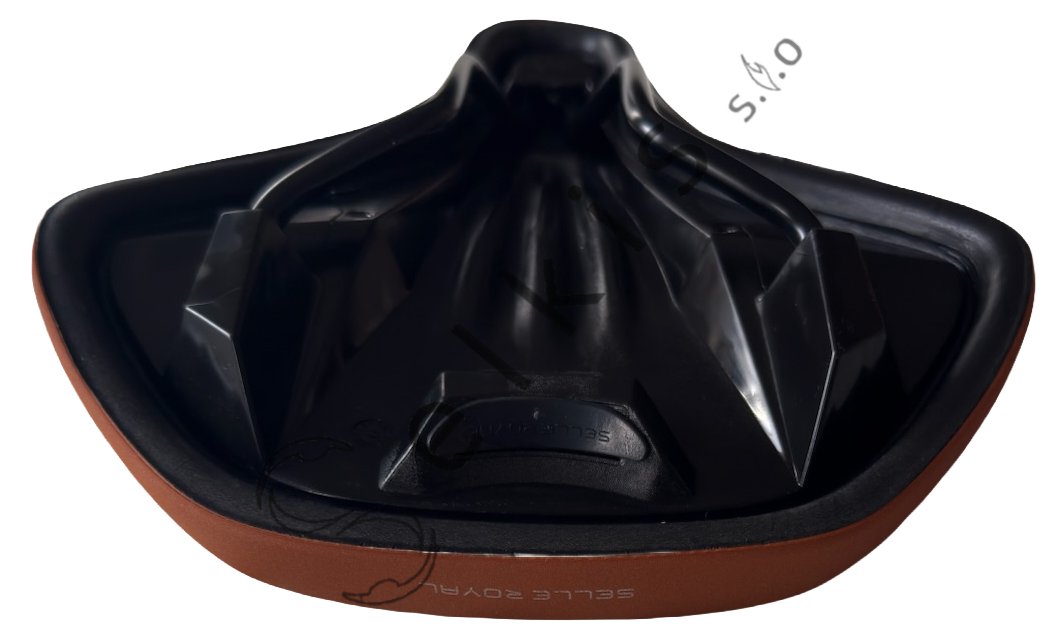 Saddle Selle Royal Lookin Moderate Female