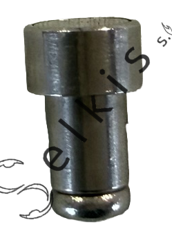 Bosch magnet